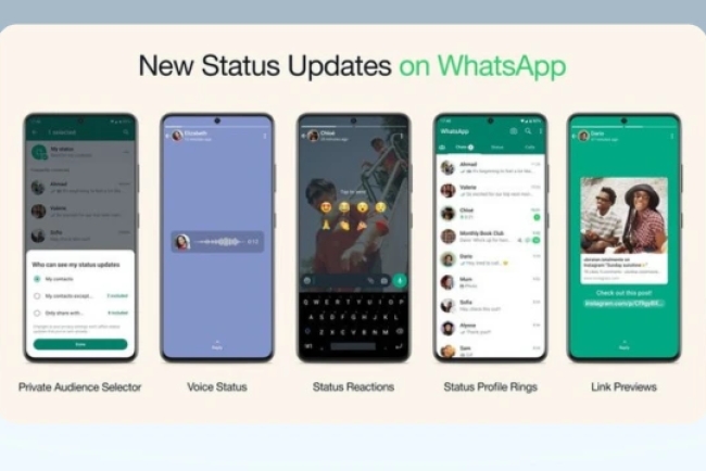 How to use Your Vcard to WhatsApp Status for Daily Visibility