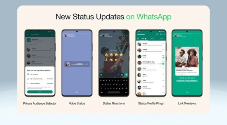 How to use Your Vcard to WhatsApp Status for Daily Visibility